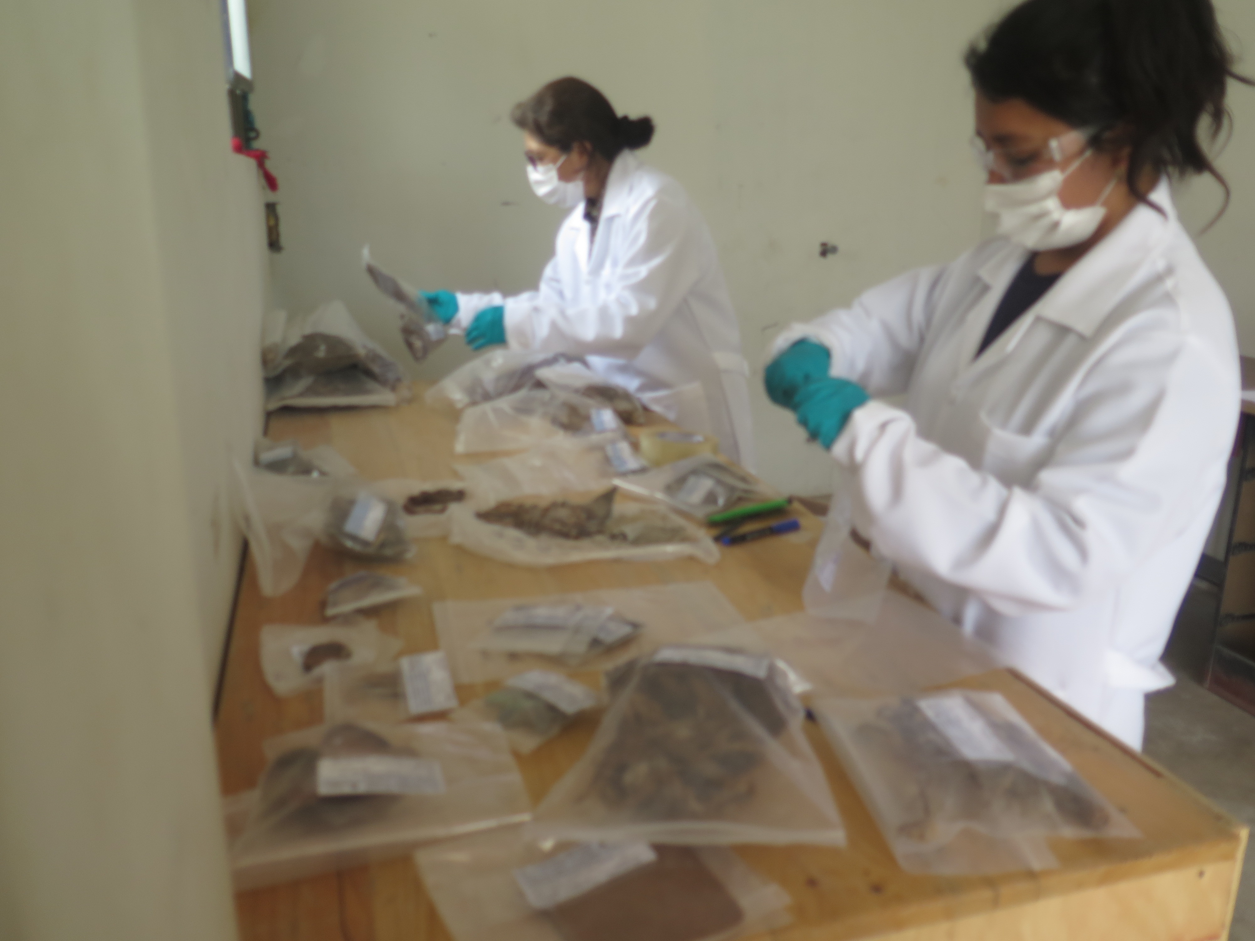 Análisis en laboratorio